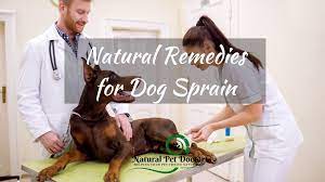 natural remes for dog leg sprains