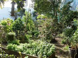 Howard Langton Mini Park Community Garden