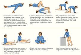 pelvic floor muscle exercises to