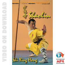 18 movements of shaolin kung fu