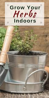 Create A Giftable Indoor Herb Garden Kit