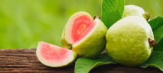 guava benefits nutrition recipes and