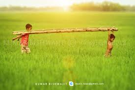 Image result for bangla nature picture