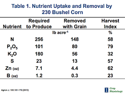 Understanding Nutrient Requirements For High Yielding Corn