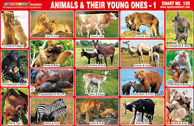 Spectrum Educational Charts Chart 120 Animals Their