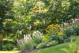 Native Plants List For Landscaping