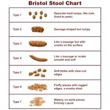 Stool Bristol Chart Lifewinner Info