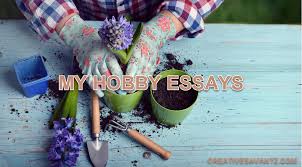 6 long and short essays on my hobby in