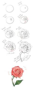Learn how to draw easy step by step of a rose pictures using these outlines or print just for coloring. 1001 Ideas And Tutorials On How To Draw A Rose Step By Step