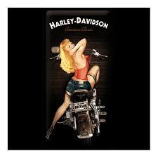 Nostalgic Art Tin Sign Harley Davidson