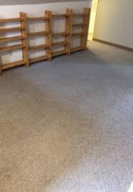 steve the carpet cleaner