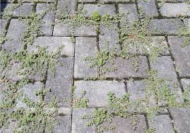 Kill Weeds On Your Brick Patio