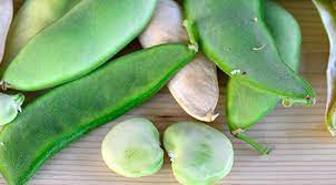 how to grow lima beans easily in your