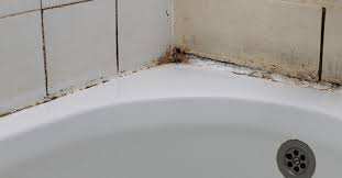 Black Mold In Shower Is It A Cause Of