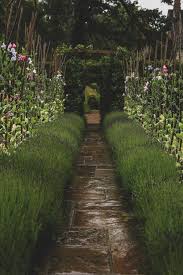 transforming long narrow gardens