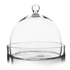 glass dome cloche bell jar terrariums