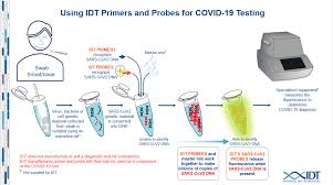A nasal swab (nasopharyngeal) and throat swab (oropharyngeal) is collected for testing by taking due safety measures. Scaling Up Primer And Probe Kits For Covid 19 Testing Technology Networks