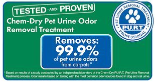 pet urine removal treatment in utah