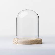 Glass Display Bell Jar Dome Cloche With
