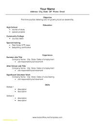 011 Resume Templates For Students Template Ideas High School