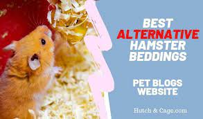 hypoallergenic hamster bedding top