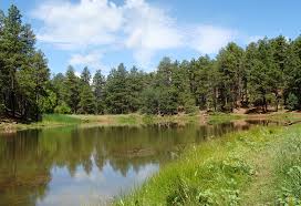 You may camp outside of recreational areas anywhere on the forest at no charge. Prescott National Forest Wikipedia