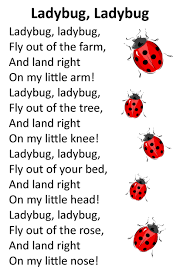 Quotes About Ladybugs 23 Quotes