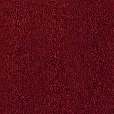herron bay burgundy carpet at lowes