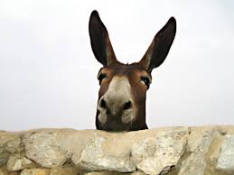 A little while later, the donkey was walking through an alley with buildings on both sides of him. Balaam S Talking Donkey Sunday School Lesson Ministry To Children