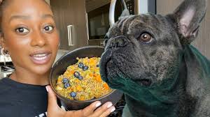 Royal canin bulldog dry dog food is also supposed to strengthen the skin as a protective barrier and aid greatly in protecting the joints. How To Make Dog Food Under A Budget For French Bulldogs Youtube