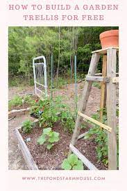 Build A Garden Trellis Garden Obelisk