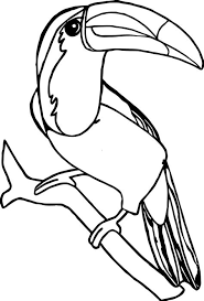 You can find here hard and detailed patterns, advanced animal drawings, simple colorings or easy outlines. Toucan Bird Coloring Page Shefalitayal