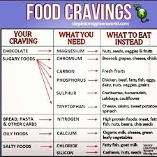 Food Cravings Tumblr