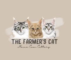 the farmer s cat maine cattery