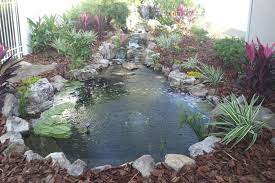 water garden pond installation