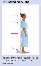The average door is 80″. Accurate Measurement Of Weight And Height 2 Height And Bmi Calculation Nursing Times