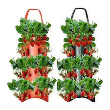 Vegetable Garden Tomato Planter