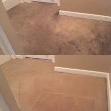 cinis professional carpet cleaning