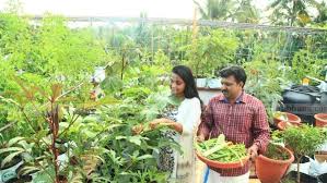 housewife make organic vegetable garden