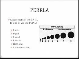 Perrla Assessment Nursing Assessment Rn School Nursing