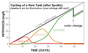 Beginner Faq The Nitrogen Cycle And The New Tank Syndrome