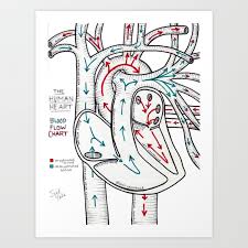 Human Blood Flow Chart Art Print