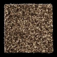 phenix paradigm walnut grove carpet