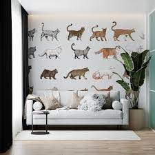 Cat Wallpaper Veterinary Clinic Wall