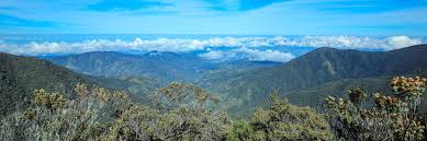 Hasil gambar untuk gunung