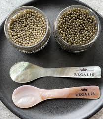 نتیجه جستجوی لغت [caviar] در گوگل