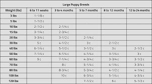 iams large breed feeding chart best