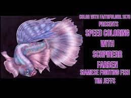 Schpirerr Farben Speed Coloring Image Siamese Fighting Fish By Tim Jeffs