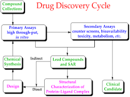 Drug Discovery Wikipedia