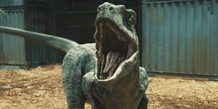 500+ vectors, stock photos & psd files. The Disappointing Truth About The Jurassic Raptors 3 Other Dinos Beyond The Box Office Zimbio